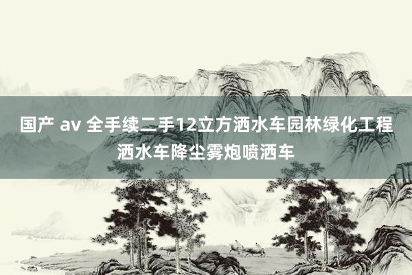 国产 av 全手续二手12立方洒水车园林绿化工程洒水车降尘雾炮喷洒车