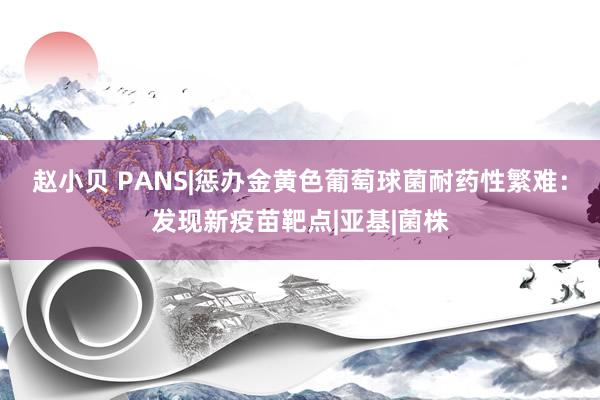 赵小贝 PANS|惩办金黄色葡萄球菌耐药性繁难：发现新疫苗靶点|亚基|菌株