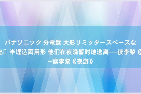 パナソニック 分電盤 大形リミッタースペースなし 露出・半埋込両用形 他们在夜晚暂时地逃离——读李黎《夜游》