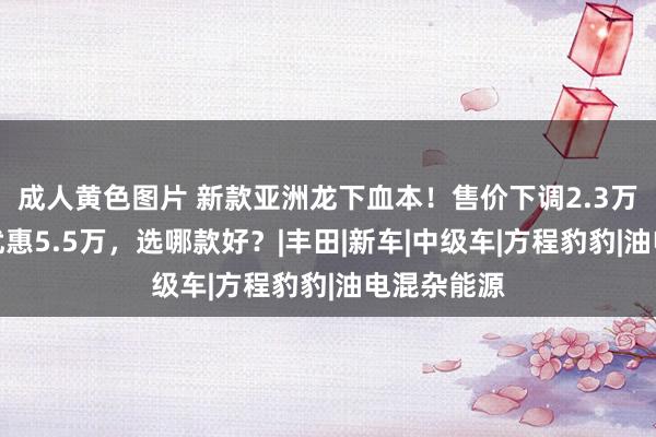 成人黄色图片 新款亚洲龙下血本！售价下调2.3万，还能再优惠5.5万，选哪款好？|丰田|新车|中级车|方程豹豹|油电混杂能源