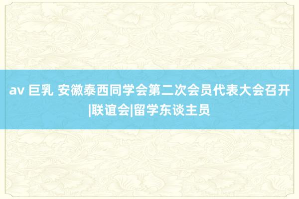 av 巨乳 安徽泰西同学会第二次会员代表大会召开|联谊会|留学东谈主员